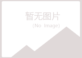 菏泽冰夏木材有限公司